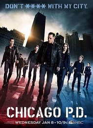 Chicago PD Saison 1 en streaming