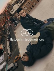 Flatbush Misdemeanors Saison 1 en streaming