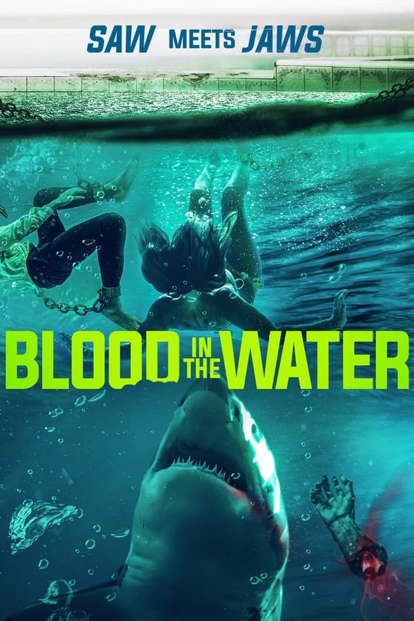 Blood in the Water